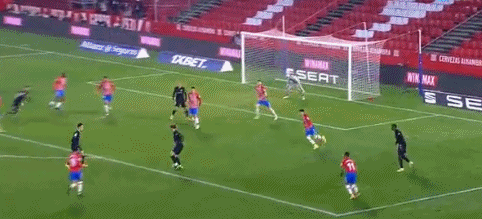 兄弟、搭档和对手——法国乒坛“双子星”的成都秀